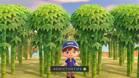 Step-by-Step Guide: Planting Bamboo in Animal Crossing